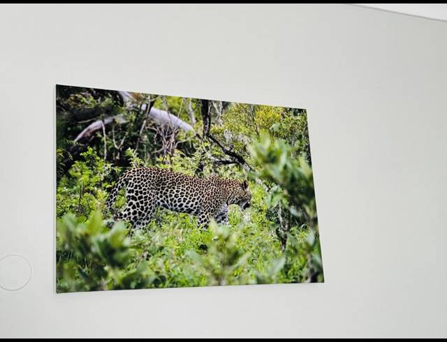 2 BEDROOM PROPERTY TO RENT IN KINGSWOOD